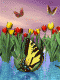 5c3122f91f55b8.914196331546724089_5c3122f91f5693.75835618.gif