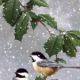 5c33594fb89fd4.430283281546869071_5c33594fb8a082.49381213.jpg