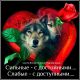 Без описания