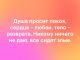 Без описания