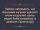 Без описания