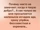 Без описания