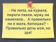 Без описания