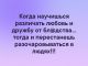 Без описания