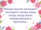 Без описания
