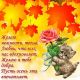 Без описания