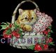 Без описания