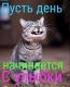 Без описания