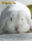 1238769834_3946.gif