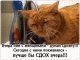 Без описания