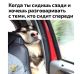 Без описания