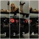 Без описания