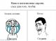 Без описания