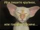 Без описания