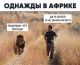 Без описания