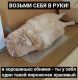 следующее фото