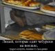 Без описания