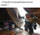 Без описания