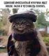 предыдушее фото