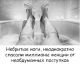 предыдушее фото