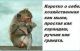 предыдушее фото