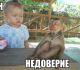 Без описания