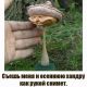 Без описания