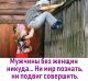 Без описания