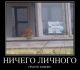 Без описания