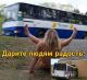Без описания
