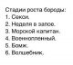 Без описания