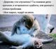 Без описания