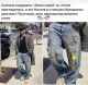 Без описания