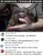 следующее фото