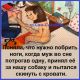 Без описания