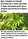 Без описания