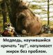 следующее фото
