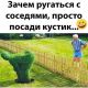 Без описания
