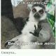Без описания