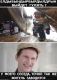 Без описания