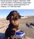 Без описания