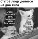 следующее фото