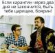Без описания