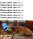 Без описания