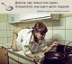 следующее фото
