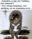 Без описания