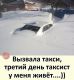 Без описания