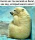 Без описания