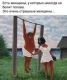 Без описания