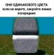 следующее фото